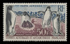 FSAT Scott # C   4, 1963 Adelie Penguins