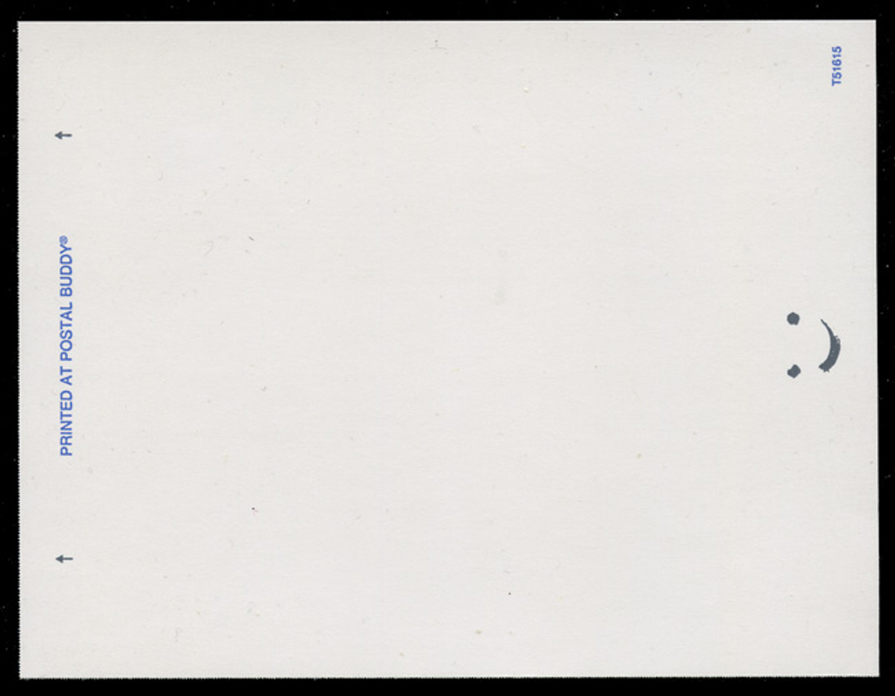 U.S. Scott # CVUX4, UPSS # PB3a2, 1993 19c Star & Flag, black on white, backside C - Mint Postal Buddy Card (See Warranty)