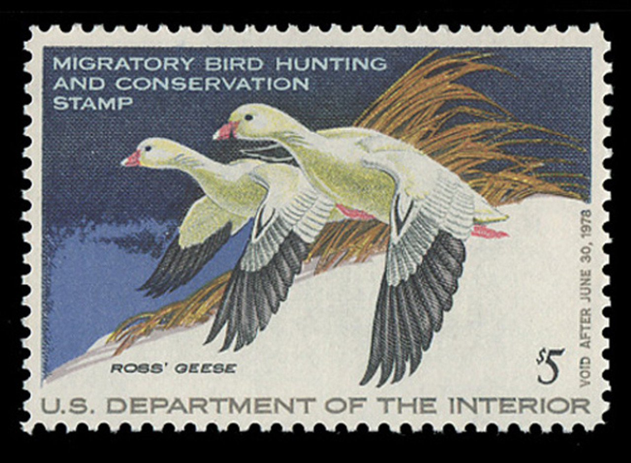 U.S. Scott #RW44, 1977 $5.00 Pair of Ross's Geese