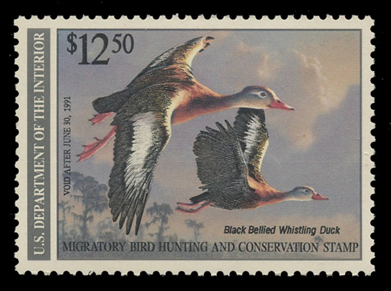 U.S. Scott #RW57, 1990 $15.00 Black Bellied Whistling Duck