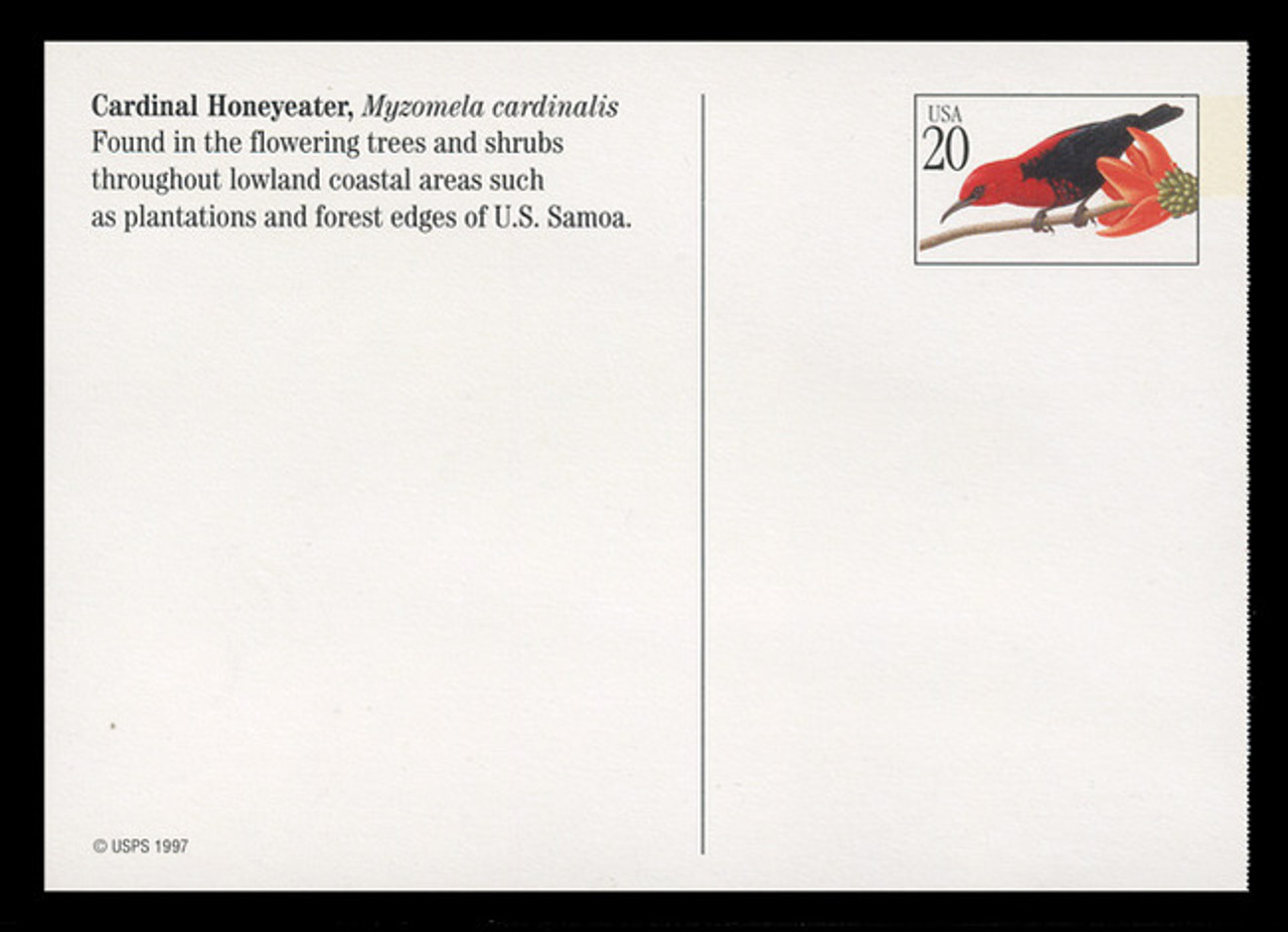 U.S. Scott # UX 293-6, 1998 20c Tropical Birds - Mint Picture Postal Card Set of 4
