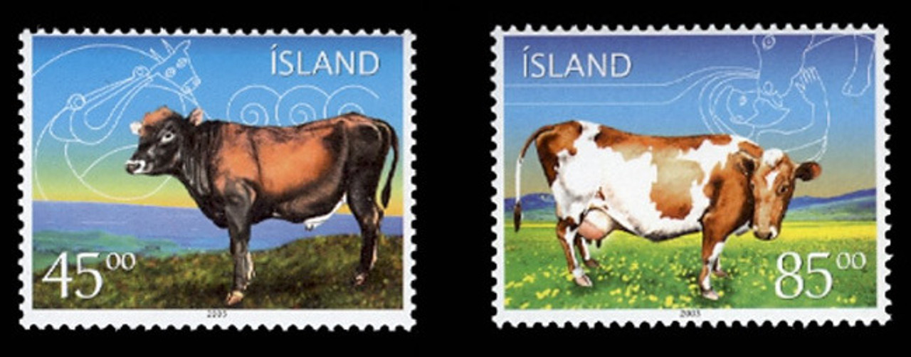 ICELAND Scott #  986-7, 2003 Icelandic Cattle (Set of 2)