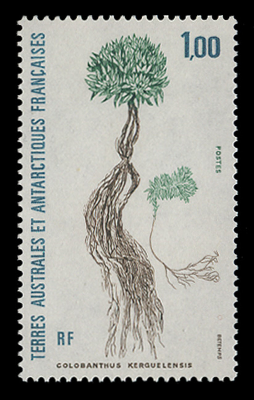 FSAT Scott # 166, 1992 Plant - Colobanthus Kerguelinsis