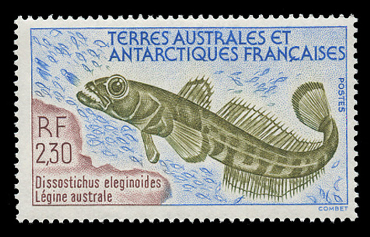 FSAT Scott # 168, 1992 Fish - Dissostichus Eleginoides