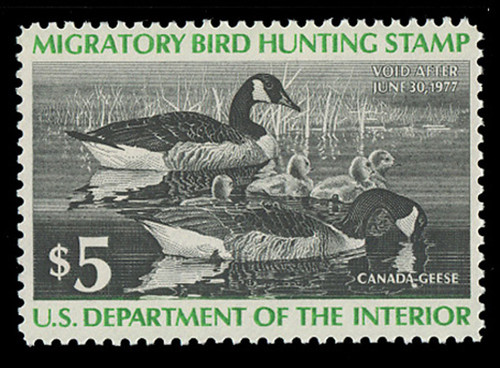 U.S. Scott #RW43, 1976 $5.00 Family of Canada Geese