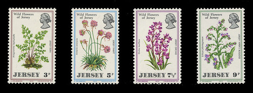 JERSEY Scott #   61-4, 1972 Wild Flowers of Jersey (Set of 4)
