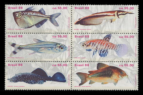 BRAZIL Scott # 2157, 1988 Fresh Water Fish (Block of 6)
