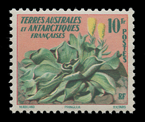 FSAT Scott #  11, 1959 Flower Issue