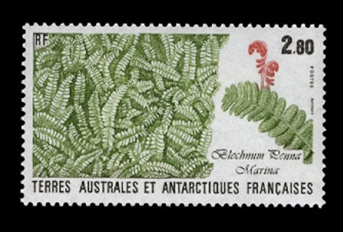 FSAT Scott # 145, 1988 Blechnum Penna Marina