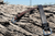 JM4 Casual Workman's Belt — Single-Layer Full Grain Leather Gun Belt, Handcrafted in Abilene, Texas