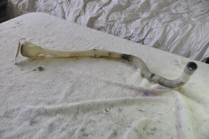 1) DD 29 BMW 8364199 Used OEM WASHER FILLER TUBE 8360189 ZB 61607038436 61668364199 Fits: E39 & other listed vehicles Euro All Parts 1) DD 29 BMW 8364199 Used OEM WASHER FILLER TUBE 8360189 ZB 61607038436 61668364199 Fits: E39 & other listed vehicles Euro All Parts