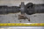 6) DD-12 MERCEDES-BENZ OEM 1634100201 Used Drive Shaft / Propeller Shaft 19100095101 203-410-58-06 A2034105 From: W209 CLK320 2004-2005 COUPE-CONVERTIBLE REAR FITS: W209 Euro All Parts