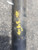 BMW OEM 26101227873 USED DRIVE SHAFT 5 SPEED MANUL M50 6 CYL E34 525I 1992 26101227873 26111227259 26111227259 BMW OEM 26101227873 USED DRIVE SHAFT 5 SPEED MANUL M50 6 CYL E34 525I 1992 26101227873 26111227259 26111227259
