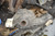 1) DD-1b Mercedes Benz 163330000580 OEM 163-330-00-05-80 (USED) front Differential ML v8 Listed vehicles Euro All Parts 1) DD-1b Mercedes Benz 163330000580 OEM 163-330-00-05-80 (USED) front Differential ML v8 Listed vehicles Euro All Parts