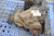 1) DD BMW 1428577 33101428577 OEM 33107500913 (USED) REAR LSD 3.15 Differential 2002 E39 740i SPORT & OTHER LISTED VEHICLES Euro All Parts 1) DD BMW 1428577 33101428577 OEM 33107500913 (USED) REAR LSD 3.15 Differential 2002 E39 740i SPORT & OTHER LISTED VEHICLES Euro All Parts
