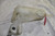 1) DD 26 BMW 61668361443 Used OEM 2L WASHER TANK 61661369516 Fits: E39 & other listed vehicles Euro All Parts
