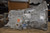 BMW OEM S5D 250G USED MANUAL TRANSMISSION 5 SPEED GETRAG 1434292.9 220.0.0225 98 226 064 23007505600 23001222271 23001222338 23001434415 23007527729 Fits: e36 e46 318i 318ti 318i 318Ci 2001-2004 & other listed vehicles Euro All Parts BMW OEM S5D 250G USED MANUAL TRANSMISSION 5 SPEED GETRAG 1434292.9 220.0.0225 98 226 064 23007505600 23001222271 23001222338 23001434415 23007527729 Fits: e36 e46 318i 318ti 318i 318Ci 2001-2004 & other listed vehicles Euro All Parts