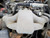 DISMANTLED - S BMW 5556107 E24 633Csi COUPE ALPINE WHITE ON BLUE M30B35 3.2L 5 SPEED MANUAL