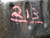 w/LEVEL  e28 e23 BMW M20&M30 11131278878 OEM GERMANY All models. 533i, 535i, M5. 1984-1989  Used  11-13-1-278-878 ,  11131274753, 11131264285,  ENGINE  11-13-1-274-753 ,  OIL PAN Other Names: w/LEVEL  e28 e23 BMW M20&M30 11131278878 OEM GERMANY All models. 533i, 535i, M5. 1984-1989  Used  11-13-1-278-878 ,  11131274753, 11131264285,  ENGINE  11-13-1-274-753 ,  OIL PAN Other Names: