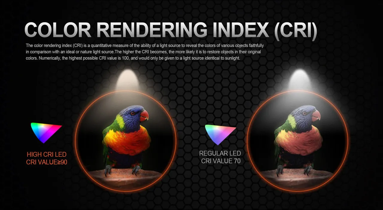 Acebeam Pokelit AA - Compact AA EDC Torch's high CRI LED compared to a regular LED, showing superior color rendering on a parrot.