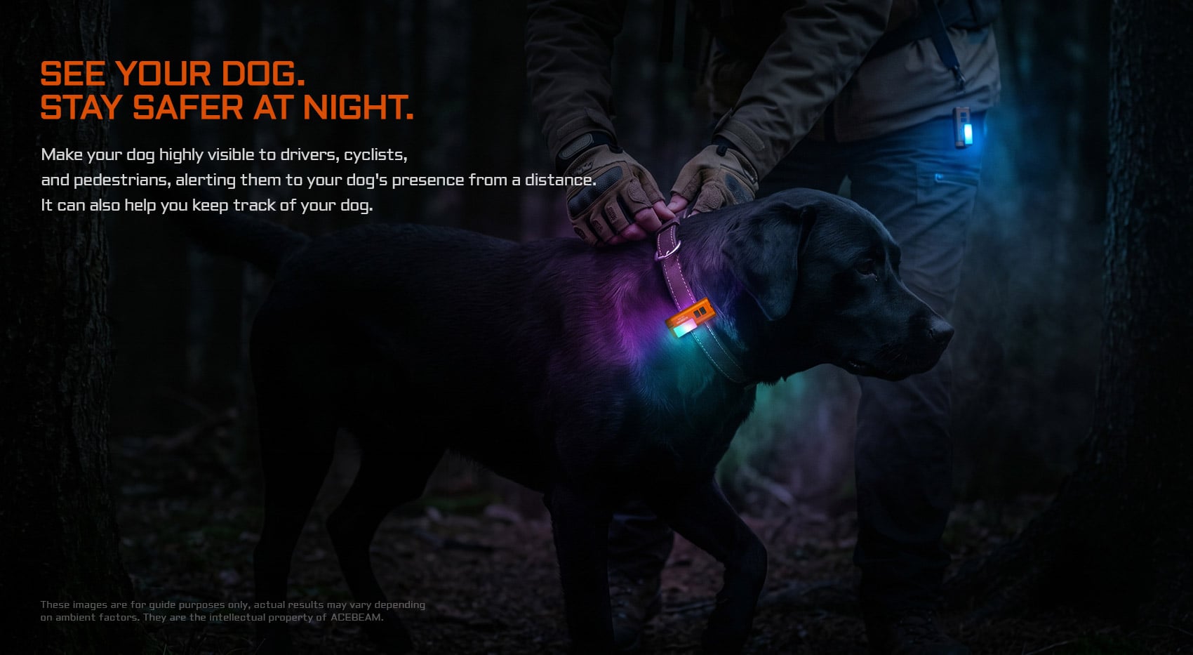 Black dog wearing an Acebeam UC3A multi-color light on its collar for enhanced night safety and visibility.