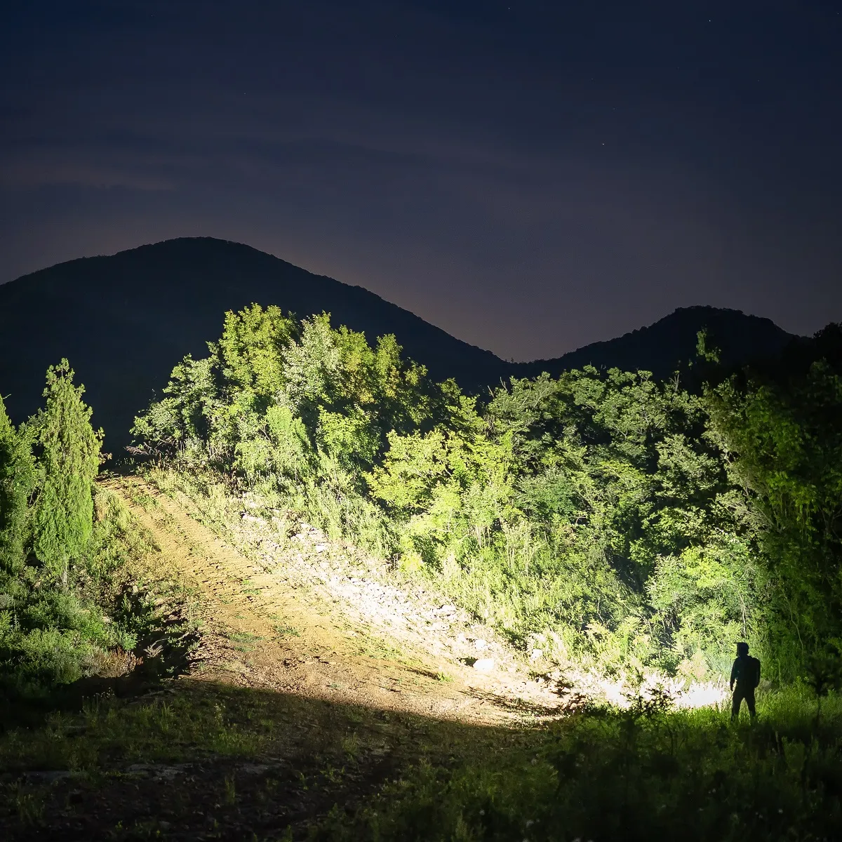Person illuminating a wide area of trees and ground with a powerful Weltool F5 flashlight beam at night.