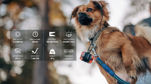 Olight Gober Kit Safety Light with four lighting colours
