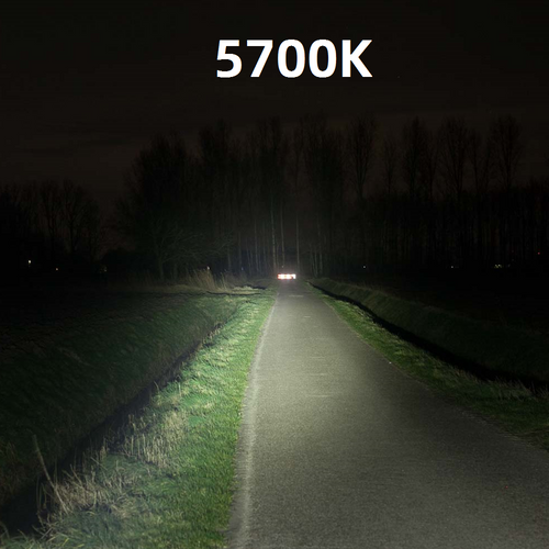 Weltool LH8 Black 5700K Weapon light head