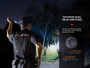 Fenix PD36R Pro Compact 2800 lumen USB-C rechargeable LED torch + E03R v2.0