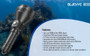 Bludive BD30 Long-range 1300 lumen 1.3km throw dive torch