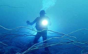Dive Torch