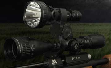 Hunting Torches
