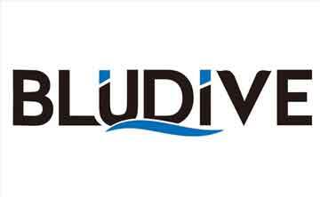 Bludive