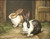 SOLD - Mid 20th Century Oil on Canvas Painting - Pair of Bunnies - Unsigned