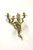 Antique 1920's Solid Brass Rococo Style Candle Wall Sconce