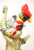 Mid 20th Century Italian Porcelain Cardinal Birds - Pair