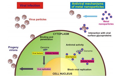 colloidal-solutions-page-header-2.jpg