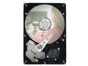 ST1000VM002 - Seagate PIPELINE HD 1TB 5900RPM 3.5-inch 64MB Cache SATA 6GB/s Internal Hard Drive