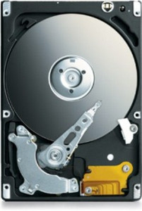Part No: HDD-2TD-ST9250421AS - Supermicro 250 GB 2.5 Internal Hard Drive - SATA - 7200 rpm - 16 MB Buffer