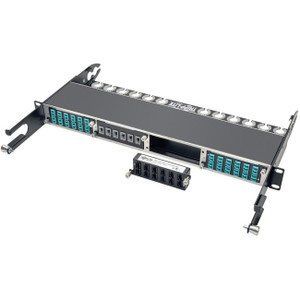 Tripp Lite 100Gb / 120Gb Pass-Through Cassette 12 24-Fiber MTP MPO - N484-12M24
