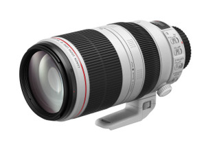 Canon EF 100-400mm f/4.5-5.6L IS II USM SLR Telephoto lens Black, White - 9524B002
