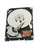 Part No: FPCHD291 - Toshiba 80 GB 2.5 Internal Hard Drive - SATA/150 - 5400 rpm