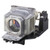 Sony LMP-E211 Replacement Lamp - LMPE211