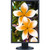 NEC Display MultiSync EA275WMI-BK 27" WQHD LED LCD Monitor - 16:9 - Black - EA275WMI-BK