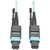 Tripp Lite 10M MTP/MTO Multimode Cable 12 Fiber 40 GbE OM3 Aqua M/F 33ft 33' 10 Meter - N842-10M-12-MF