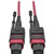 Tripp Lite 5M MTP MPO Multimode Patch Cable 12 Fiber 40/100Gb OM4 50/ 125 CMP - N845-05M-12-MG