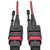 Tripp Lite 2M MTP MPO Multimode Patch Cable 12 Fiber 40/100Gb OM4 50/ 125 CMP - N845-02M-12-MG