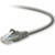 Belkin UTP patch cable, snagless, Cat5e, 15.2m networking cable 598.4" (15.2 m) U/UTP (UTP) - A3L791B50-S