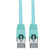 Tripp Lite N262-005-AQ networking cable Aqua color 59.8" (1.52 m) Cat6a S/UTP (STP)