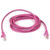 Belkin Cat. 6 Patch Cable 5ft Pink networking cable 59.1" (1.5 m) - A3L980-05-PNK-S